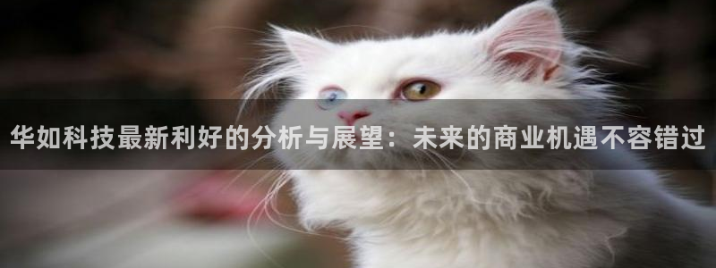 华如科技最新利好的分析与展望：未来的商业机遇不容错过