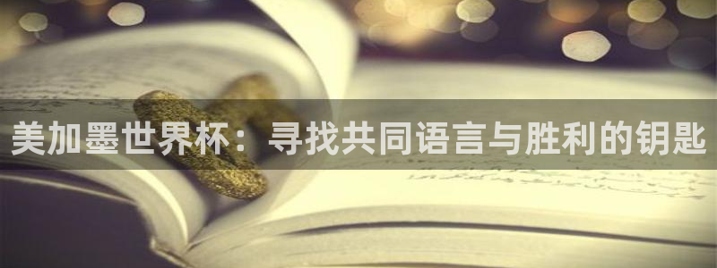 美加墨世界杯：寻找共同语言与胜利的钥匙