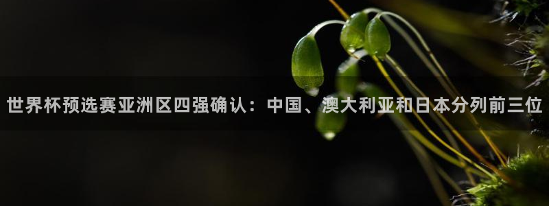 世界杯预选赛亚洲区四强确认：中国、澳大利亚和日本分列前三位