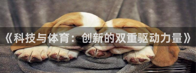 《科技与体育：创新的双重驱动力量》