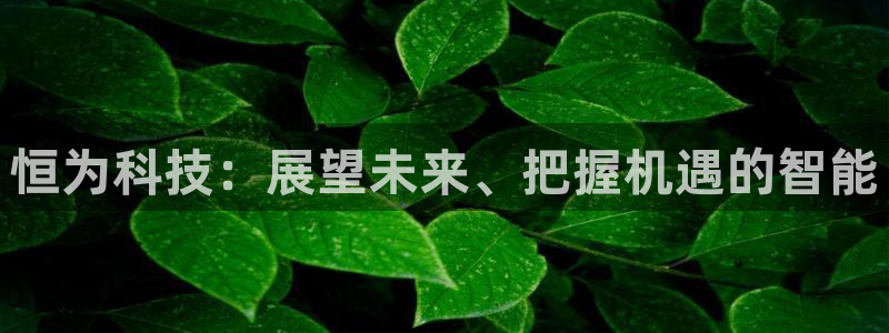 恒为科技：展望未来、把握机遇的智能