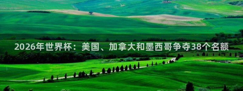 2026年世界杯：美国、加拿大和墨西哥争夺38个名额